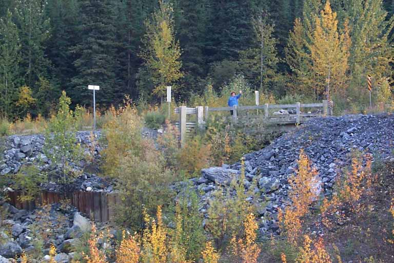 DC 399 - Stringer Creek at MacDonald River - 71266