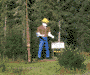 DC 62 - 30 ft Lumberjack - 112356